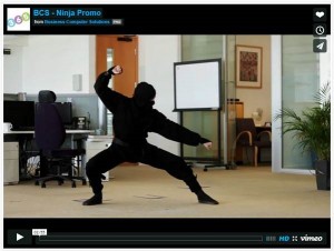 Ninja video